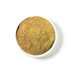BORNEO RED VEIN